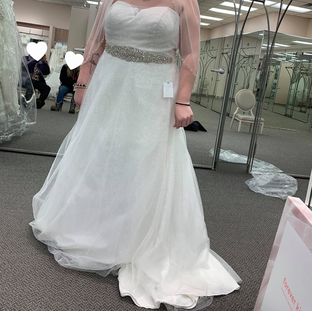 David's Bridal Wedding Dress